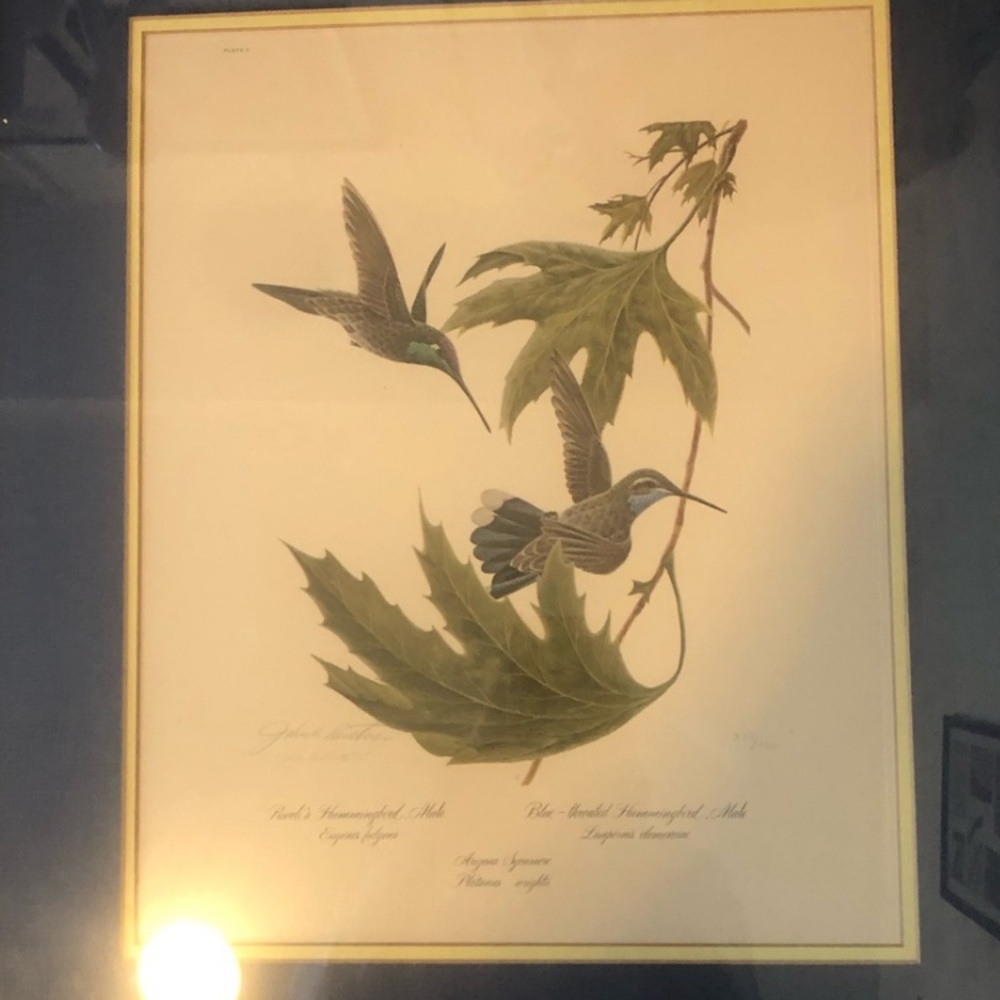 2 Botanical Art Prints with Green Leaf Accent John Ruthven Signed w/ Certificate